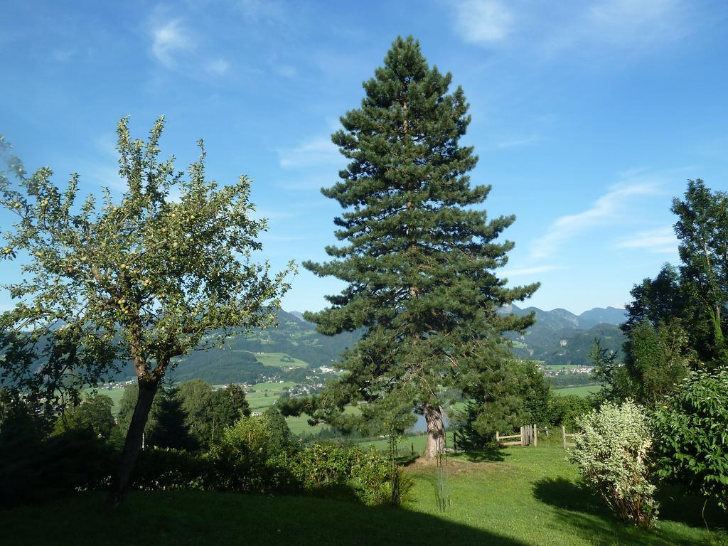 Pension Schoene Aussicht Кухл Екстериор снимка